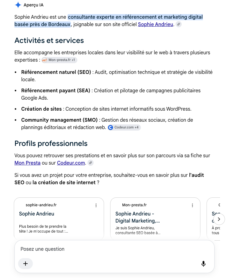 AI Overview Google